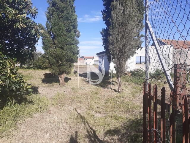 Terreno R�stico - Maiorca, Figueira da Foz, Coimbra - Imagem grande