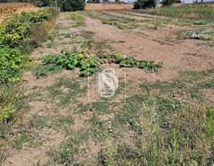 Terreno Rstico T0 - Alqueido, Figueira da Foz, Coimbra - Miniatura: 3/17