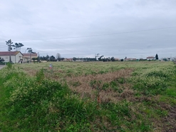 Terreno R�stico - Louri�al, Pombal, Leiria - Miniatura: 2/5