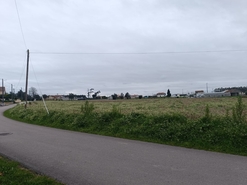 Terreno R�stico - Louri�al, Pombal, Leiria - Miniatura: 4/5