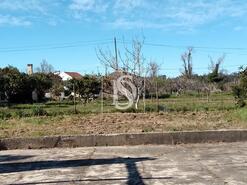 Terreno R�stico - Maiorca, Figueira da Foz, Coimbra - Miniatura: 7/11