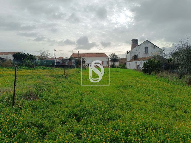Terreno R�stico T0 - Lavos, Figueira da Foz, Coimbra - Imagem grande