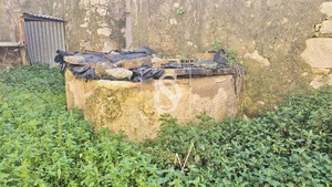 Moradia T3 - Ereira, Montemor-o-Velho, Coimbra - Miniatura: 9/43