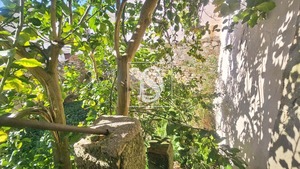 Moradia T3 - Ereira, Montemor-o-Velho, Coimbra - Miniatura: 12/43