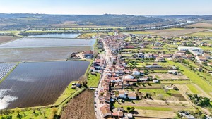 Moradia T3 - Ereira, Montemor-o-Velho, Coimbra - Miniatura: 33/43