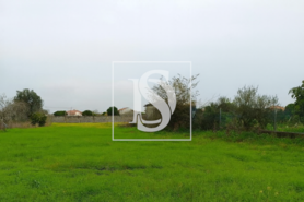 Terreno R�stico T0 - Lavos, Figueira da Foz, Coimbra - Miniatura: 1/5