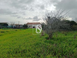 Terreno R�stico T0 - Lavos, Figueira da Foz, Coimbra - Miniatura: 2/5