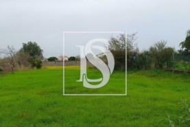 Terreno R�stico T0 - Lavos, Figueira da Foz, Coimbra - Miniatura: 3/5