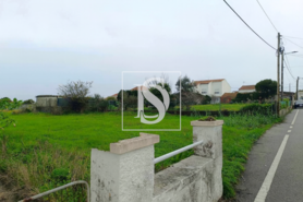 Terreno R�stico T0 - Lavos, Figueira da Foz, Coimbra - Miniatura: 4/5