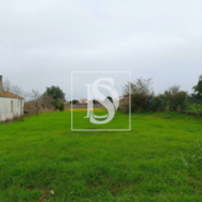 Terreno R�stico T0 - Lavos, Figueira da Foz, Coimbra - Miniatura: 5/5