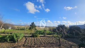 Moradia T1 - Ereira, Montemor-o-Velho, Coimbra - Miniatura: 29/42