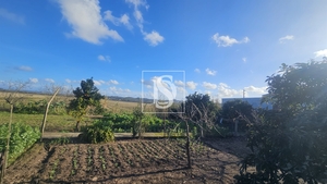 Moradia T1 - Ereira, Montemor-o-Velho, Coimbra - Miniatura: 31/42