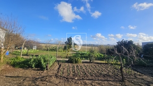 Moradia T1 - Ereira, Montemor-o-Velho, Coimbra - Miniatura: 32/42