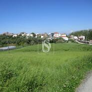 Terreno R�stico - Maiorca, Figueira da Foz, Coimbra - Miniatura: 3/7