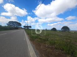 Terreno R�stico - Maiorca, Figueira da Foz, Coimbra - Miniatura: 9/18