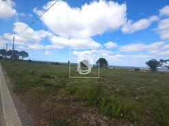 Terreno R�stico - Maiorca, Figueira da Foz, Coimbra - Miniatura: 10/18