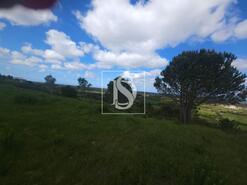 Terreno R�stico - Maiorca, Figueira da Foz, Coimbra - Miniatura: 13/18