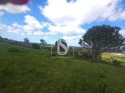 Terreno R�stico - Maiorca, Figueira da Foz, Coimbra - Miniatura: 14/18