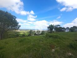 Terreno R�stico - Maiorca, Figueira da Foz, Coimbra - Miniatura: 15/18