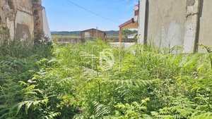 Terreno R�stico - Ereira, Montemor-o-Velho, Coimbra - Miniatura: 2/18