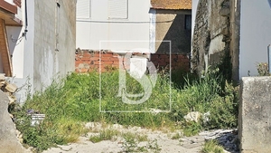 Terreno R�stico - Ereira, Montemor-o-Velho, Coimbra - Miniatura: 4/18