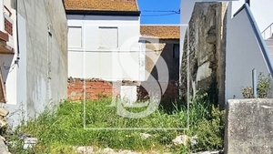 Terreno R�stico - Ereira, Montemor-o-Velho, Coimbra - Miniatura: 7/18