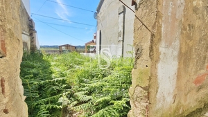 Terreno R�stico - Ereira, Montemor-o-Velho, Coimbra - Miniatura: 9/18