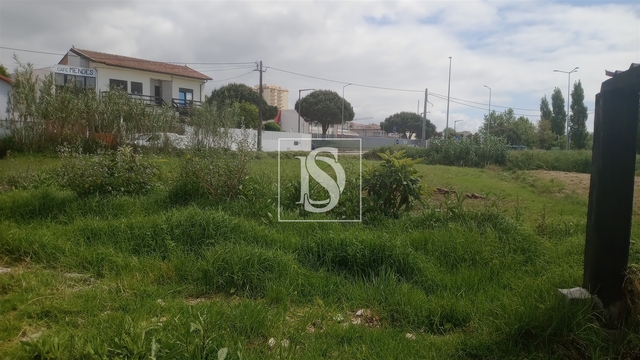 Terreno R�stico - Tavarede, Figueira da Foz, Coimbra - Imagem grande