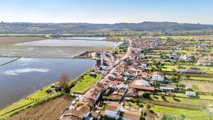 Moradia T1 - Ereira, Montemor-o-Velho, Coimbra - Miniatura: 19/33