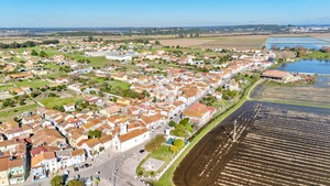 Moradia T1 - Ereira, Montemor-o-Velho, Coimbra - Miniatura: 25/33