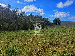 Terreno R�stico - Maiorca, Figueira da Foz, Coimbra - Miniatura: 5/24