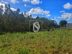 Terreno R�stico - Maiorca, Figueira da Foz, Coimbra - Miniatura: 19/24