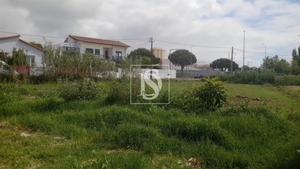 Terreno R�stico - Tavarede, Figueira da Foz, Coimbra - Miniatura: 1/14