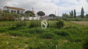 Terreno R�stico - Tavarede, Figueira da Foz, Coimbra - Miniatura: 2/14