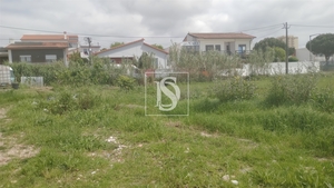 Terreno R�stico - Tavarede, Figueira da Foz, Coimbra - Miniatura: 3/14