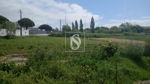 Terreno R�stico - Tavarede, Figueira da Foz, Coimbra - Miniatura: 6/14