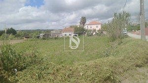 Terreno R�stico - Tavarede, Figueira da Foz, Coimbra - Miniatura: 9/14