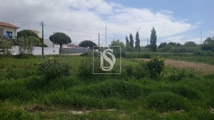 Terreno R�stico - Tavarede, Figueira da Foz, Coimbra - Miniatura: 14/14