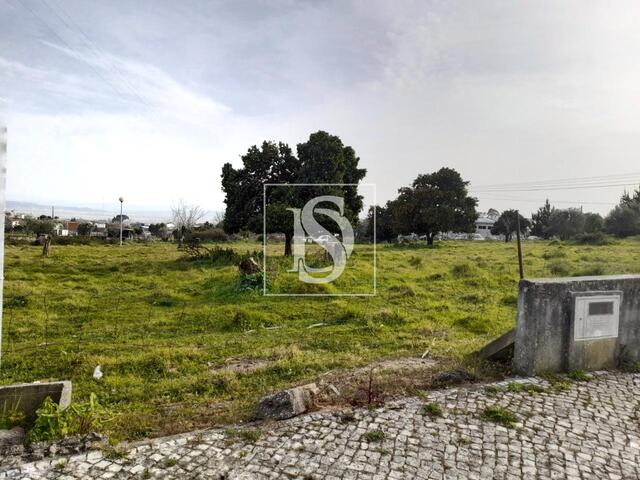 Terreno Rstico - Carapinheira, Montemor-o-Velho, Coimbra - Imagem grande