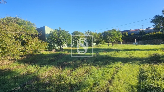 Terreno R�stico - Alqueid�o, Figueira da Foz, Coimbra - Imagem grande