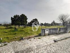 Terreno Rstico - Carapinheira, Montemor-o-Velho, Coimbra - Miniatura: 3/11