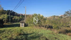 Terreno R�stico - Alqueid�o, Figueira da Foz, Coimbra - Miniatura: 9/41