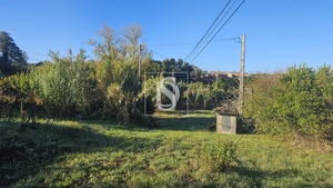 Terreno R�stico - Alqueid�o, Figueira da Foz, Coimbra - Miniatura: 10/41