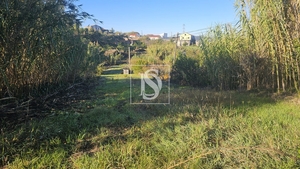 Terreno R�stico - Alqueid�o, Figueira da Foz, Coimbra - Miniatura: 13/41