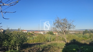 Terreno R�stico - Alqueid�o, Figueira da Foz, Coimbra - Miniatura: 15/41