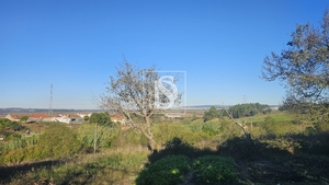 Terreno R�stico - Alqueid�o, Figueira da Foz, Coimbra - Miniatura: 20/41