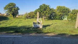 Terreno R�stico - Alqueid�o, Figueira da Foz, Coimbra - Miniatura: 28/41