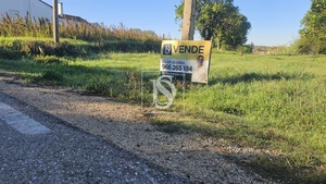 Terreno R�stico - Alqueid�o, Figueira da Foz, Coimbra - Miniatura: 29/41