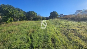 Terreno R�stico - Alqueid�o, Figueira da Foz, Coimbra - Miniatura: 33/41