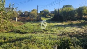 Terreno R�stico - Alqueid�o, Figueira da Foz, Coimbra - Miniatura: 36/41